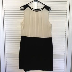 Loft 12P Ivory and Black Dress